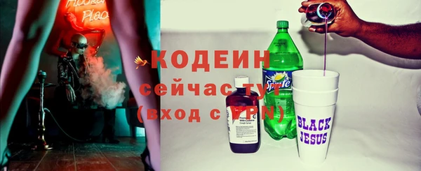 стаф Новозыбков