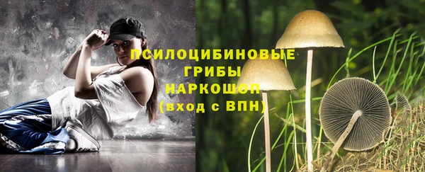 spice Алзамай