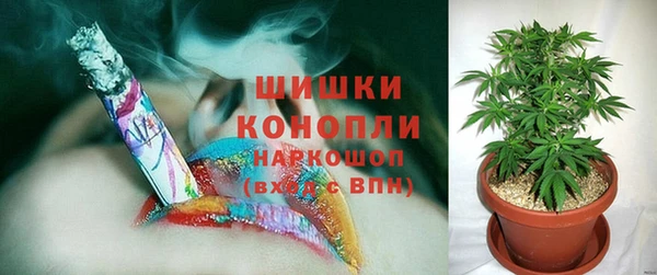 стаф Новозыбков