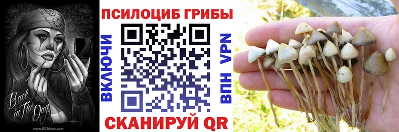 закладки  Лесозаводск  Псилоцибиновые грибы мицелий 