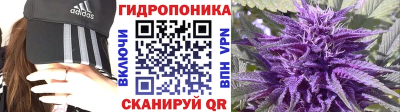 darknet как зайти где продают hydra онион Лесозаводск Шишки марихуана MAZAR